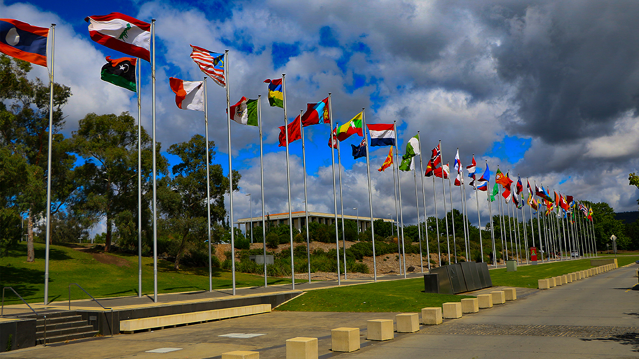 international flag display